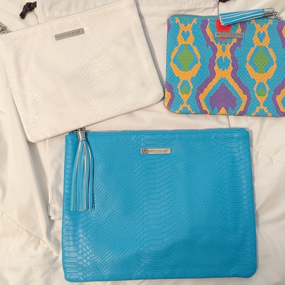 Rodan + Fields Clutch Set